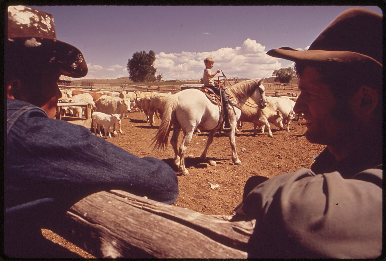 Historic Colorado ranch scene with fenced pasture